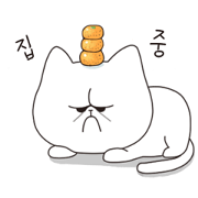 krwa the cat Korean