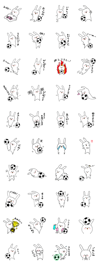 The white rabbit which likes soccer