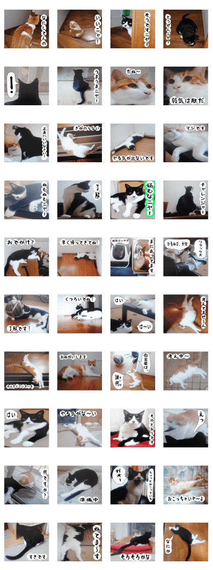 sticker japan cat&gin3 Tennis version4