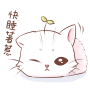Mimi Kitten2