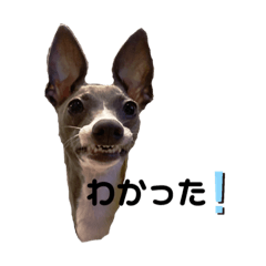 belinda_20201012213630