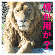 message in photo