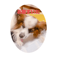 melon_20201012230622