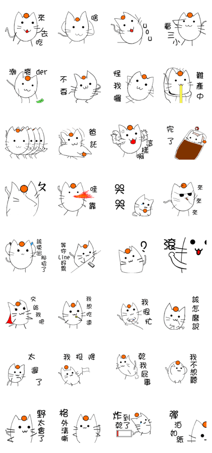 some cat with orange