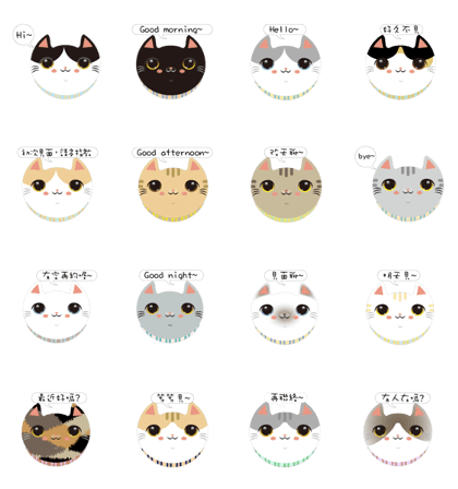 I love CAT Face
