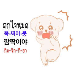 white puppy Thai-Korea talk TH-KR