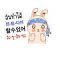 Rabbit and learning TH-KR THAI-KOREA