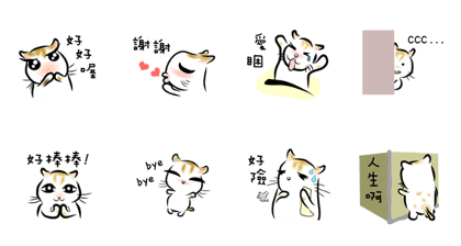 Talking My Cat