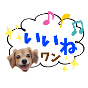 katochan_20201013121140