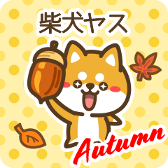 Shiba Yasu in Autumn