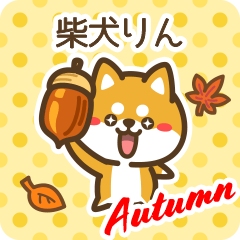 Shiba Rin in Autumn