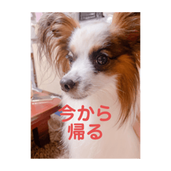 melon_20201013141828