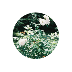 omochi_20201012235839