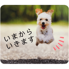 fuwachan_20201012220148
