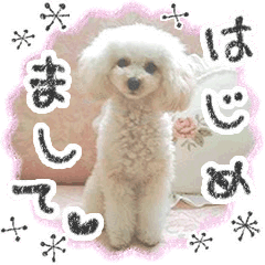 toy poodle "LUNLUN"-the movie 3-
