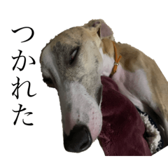 Hannah_20201013123918