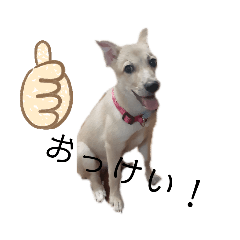 Ryuki_20201013170025