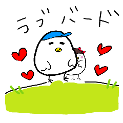 every day love bird