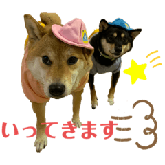 kinaco&kuromitsu