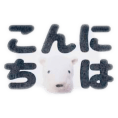chibi_20201013183126