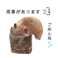 Tamegoro_20201013190220