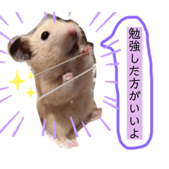 Tamegoro_20201013193614