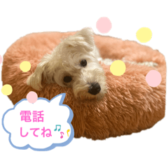 mizuki_20201013195428