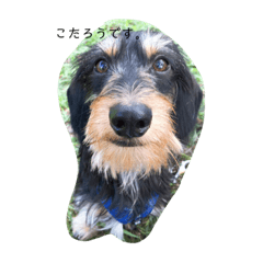 yamada_20201013210846