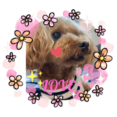 yume_2020101322263512