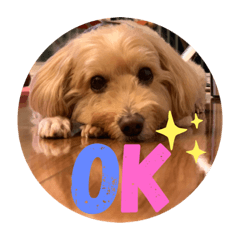 ayumi_20201013192425