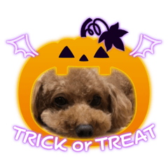 akiko_20201013200030