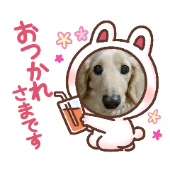 cocoa_20201013233415