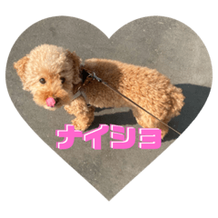 kaho_20201013203207