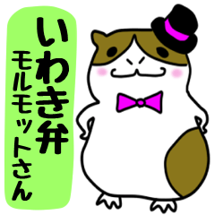 A guinea pig (Speaking Iwaki dialect)