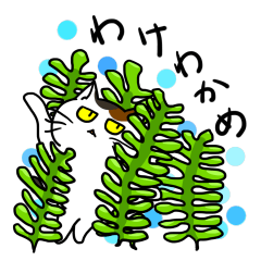 Kyauchan Cat Series2_obsolete words&pun