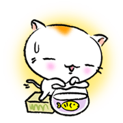 Cute Cat Chaomaru
