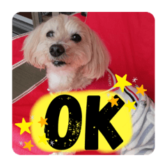 ayumi_20201014012639