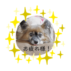 mizuki_20201014124625