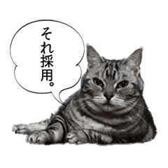 おもしろ実写ねこマンガ 2 Line スタンプ Line Store