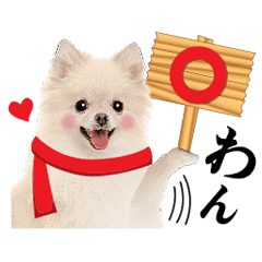 Cute Dog Of A Picture Line Stickers Line Store