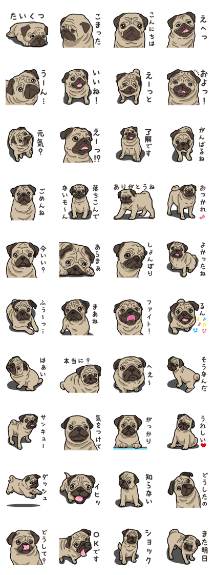 Daily Pug