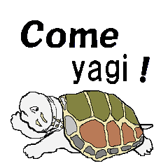 Message from the yagi.