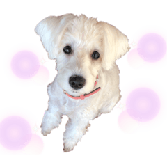 Natsumi_20201014184948