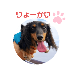miki_20201014202327