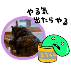 akiko_20201014233617