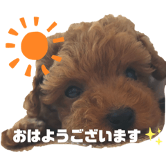 arisa_20201015021717