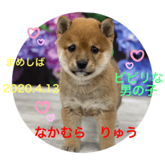 chan_20201015024156