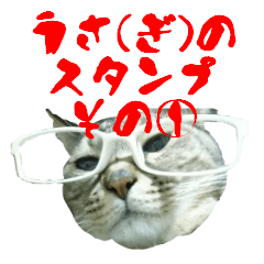 Sticker of reticent cat "Usa (gi)" No.1