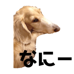 Asako_20201014232440