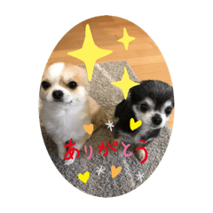 YUKARI_20201014232241